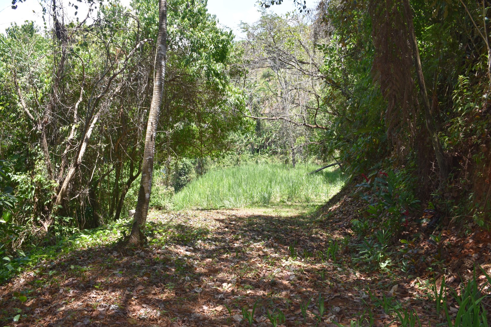 0 bed Land For Sale in Dominical, Puntarenas - thumb 3