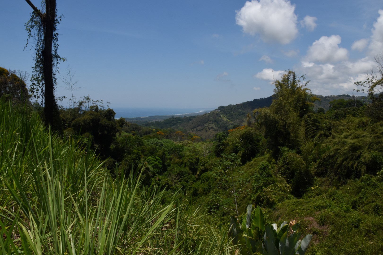 0 bed Land For Sale in Dominical, Puntarenas - thumb 1
