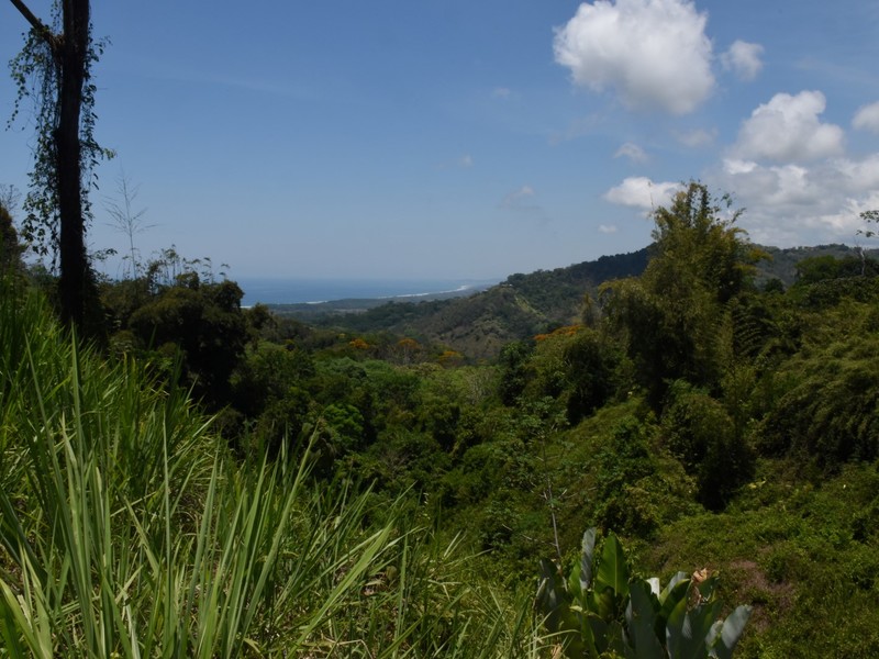 0 bed Land For Sale in Dominical, Puntarenas - 1