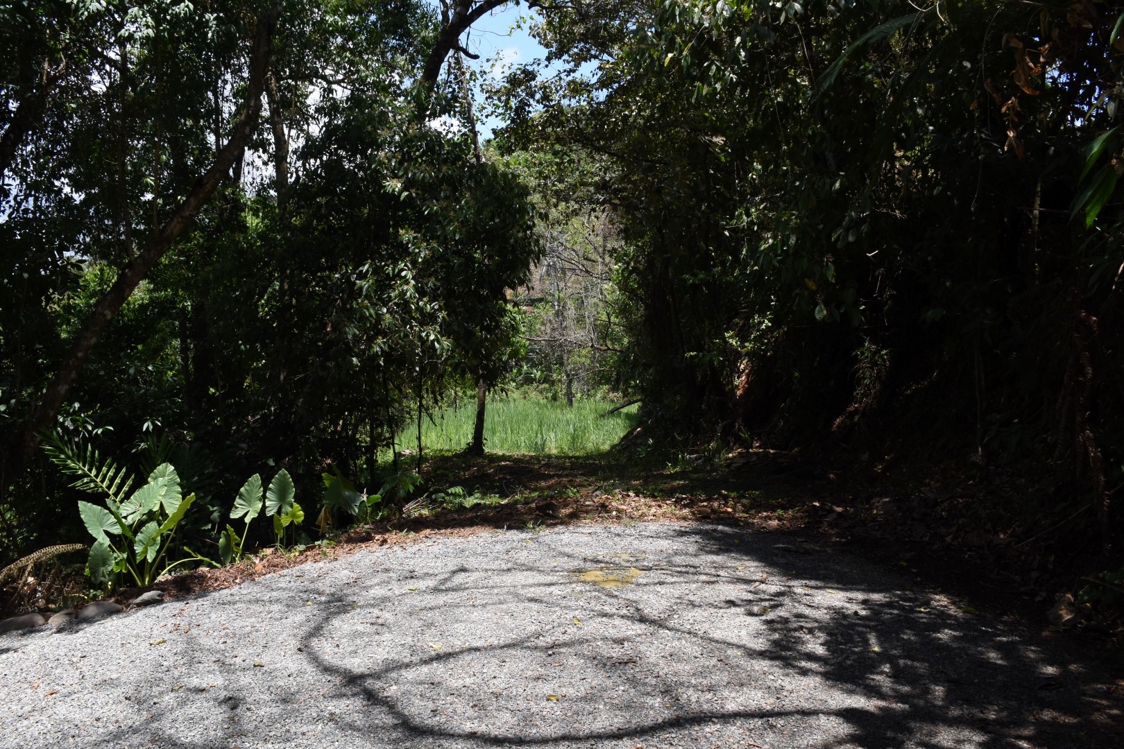 0 bed Land For Sale in Dominical, Puntarenas - thumb 2