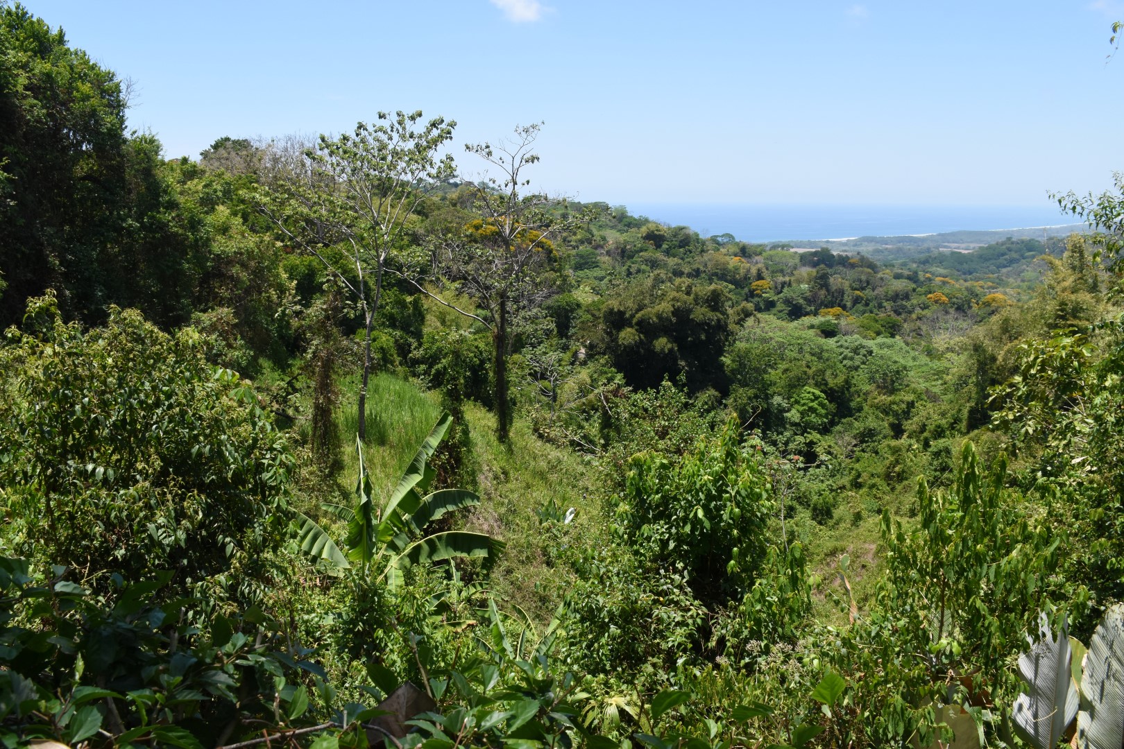 0 bed Land For Sale in Dominical, Puntarenas - thumb 7
