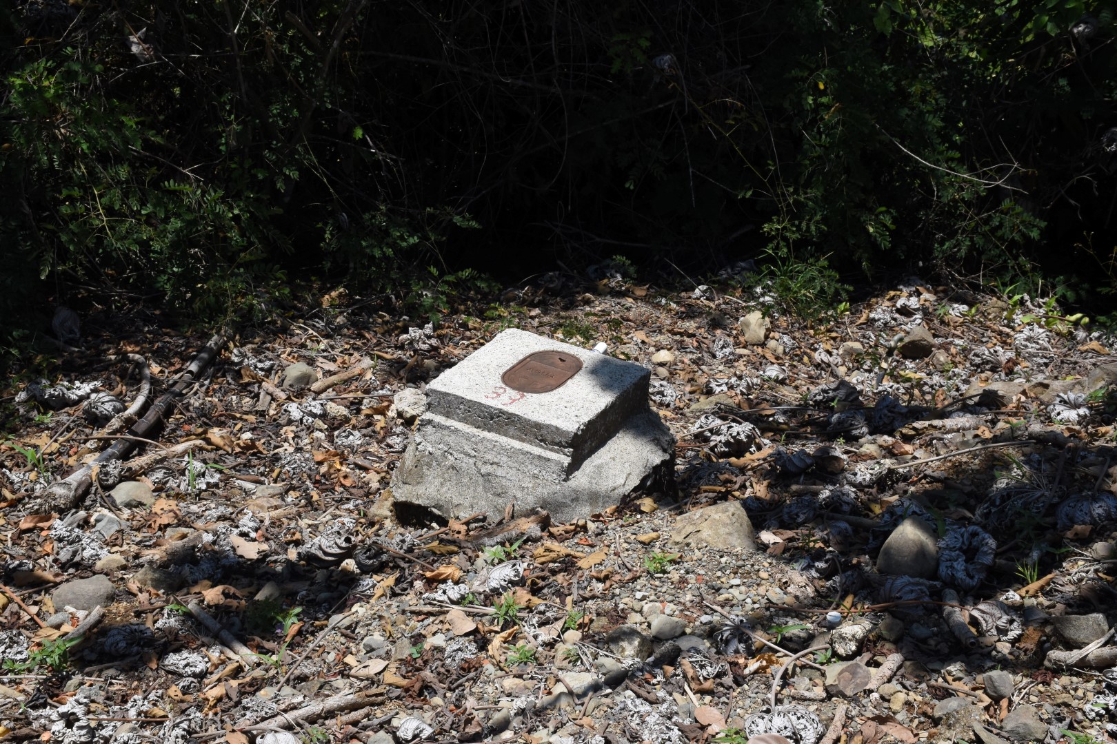 0 bed Land For Sale in Dominical, Puntarenas - thumb 11