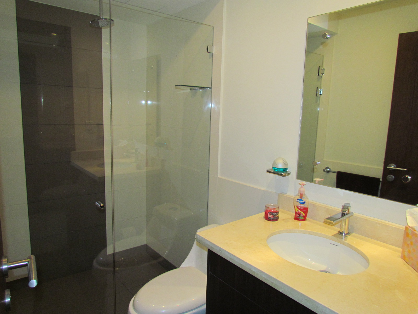 2 bed Apartment For Sale in Sabana Norte, San Jose - thumb 8