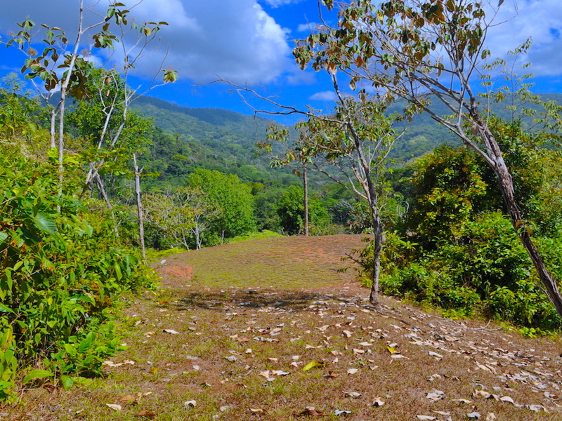 0 bed Land For Sale in Dominical, Puntarenas - 1
