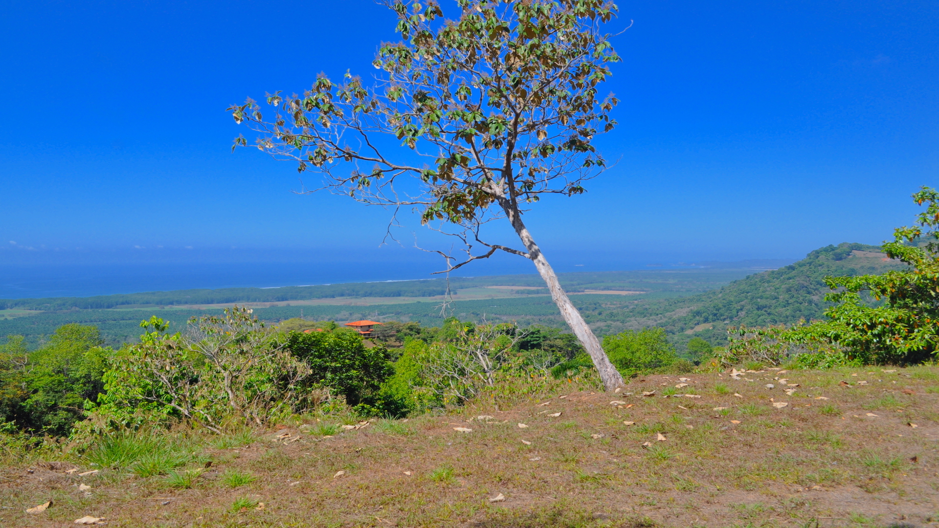 0 bed Land For Sale in Dominical, Puntarenas - thumb 1