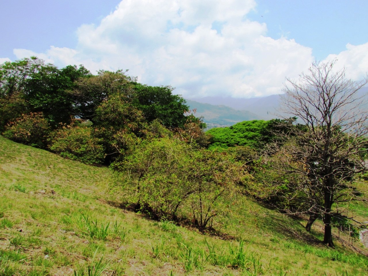 0 bed Land For Sale in Santa Ana, San Jose - thumb 4