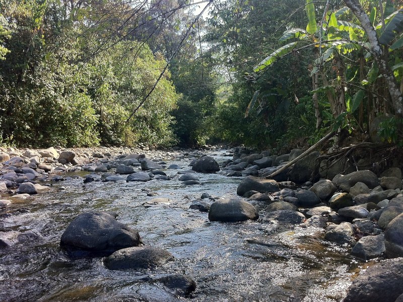 2 bed Single Family Homes For Sale in Ojochal, Puntarenas - 1