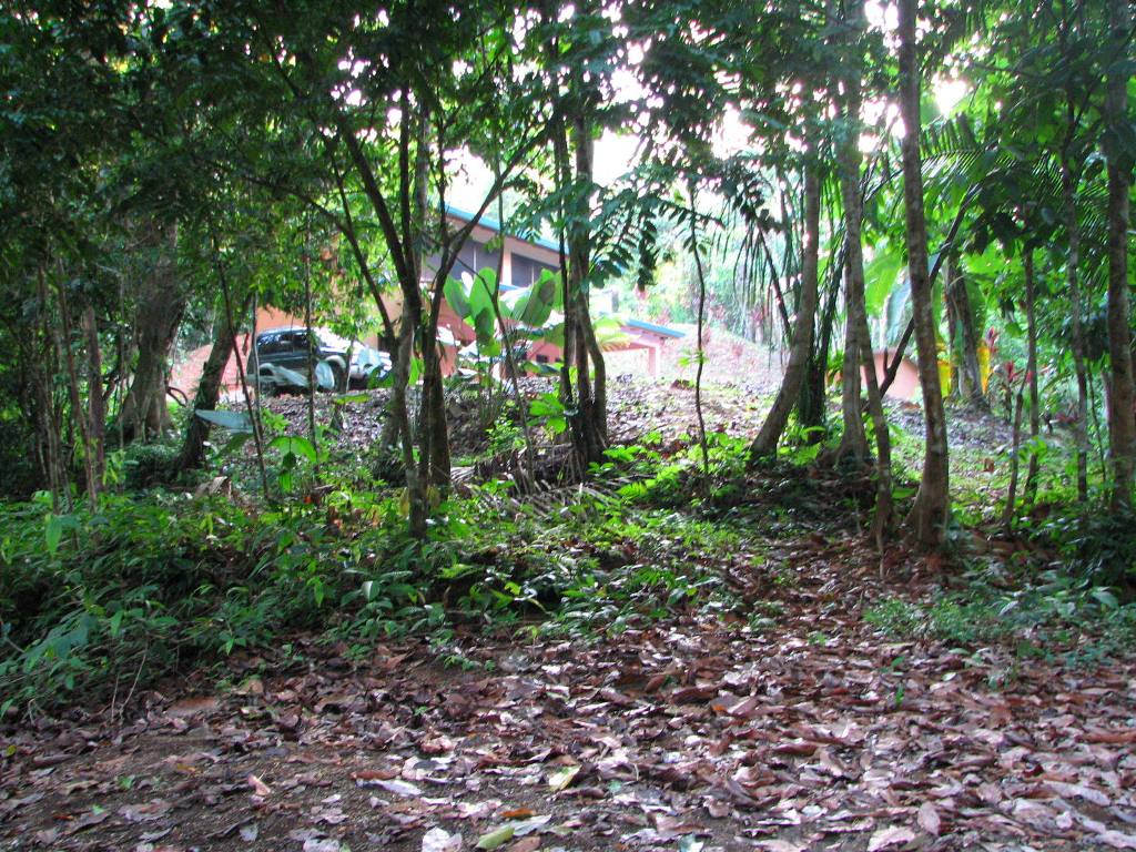 2 bed Single Family Homes For Sale in Ojochal, Puntarenas - thumb 14