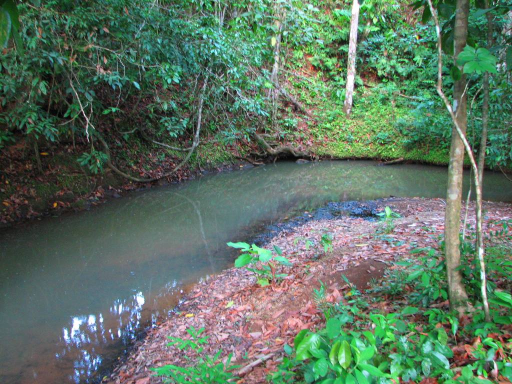 2 bed Single Family Homes For Sale in Ojochal, Puntarenas - thumb 15