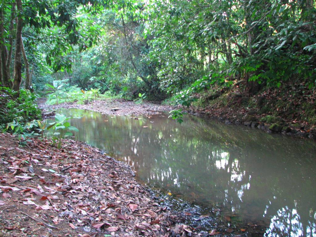 2 bed Single Family Homes For Sale in Ojochal, Puntarenas - thumb 17