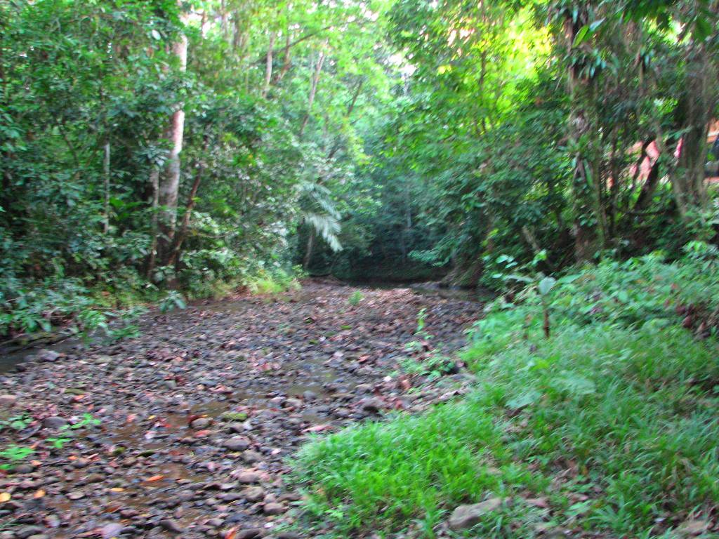 2 bed Single Family Homes For Sale in Ojochal, Puntarenas - thumb 18