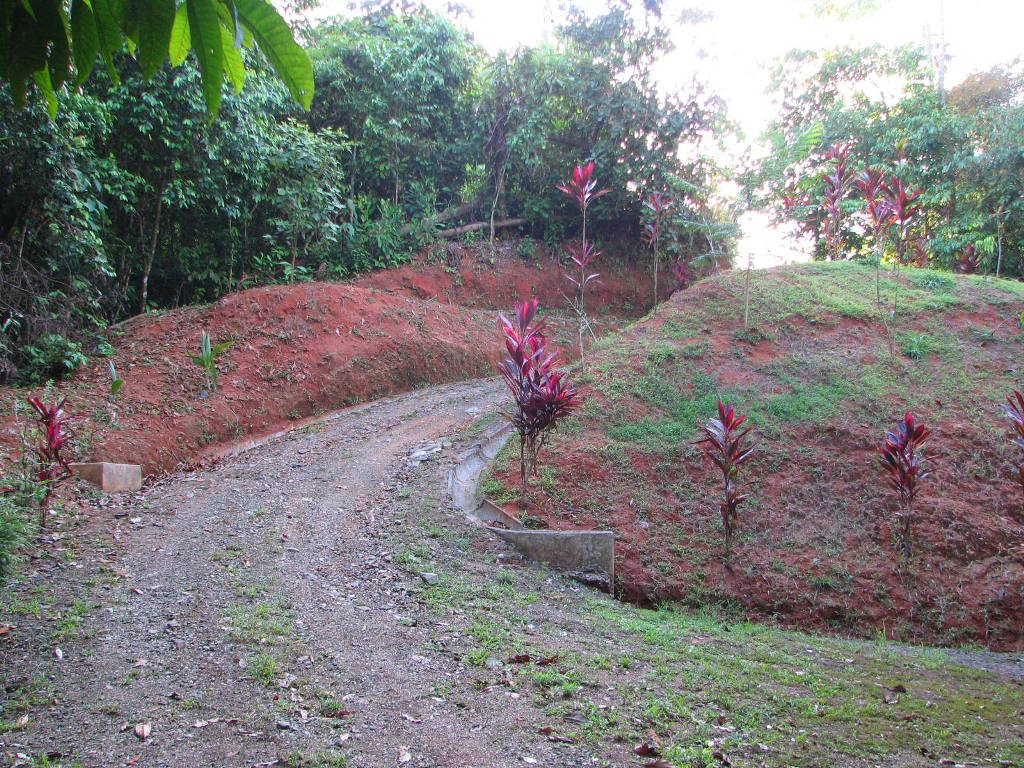2 bed Single Family Homes For Sale in Ojochal, Puntarenas - thumb 20