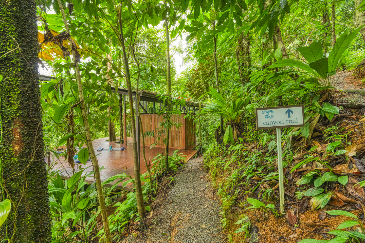11 bed Hotel / Leisure For Sale in Uvita, Puntarenas - thumb 26