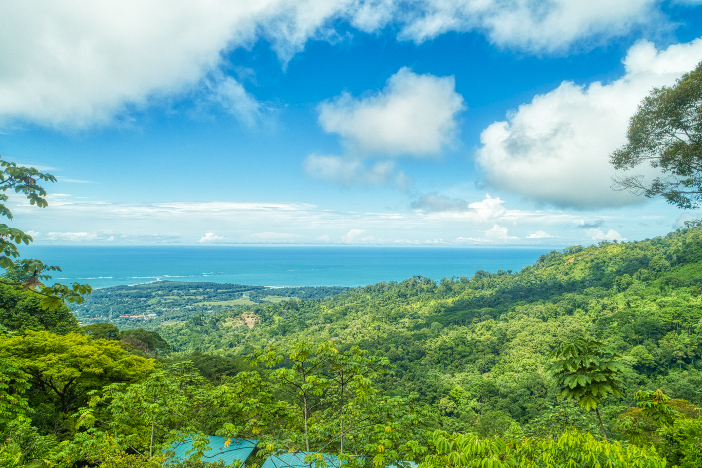 11 bed Hotel / Leisure For Sale in Uvita, Puntarenas - thumb 28