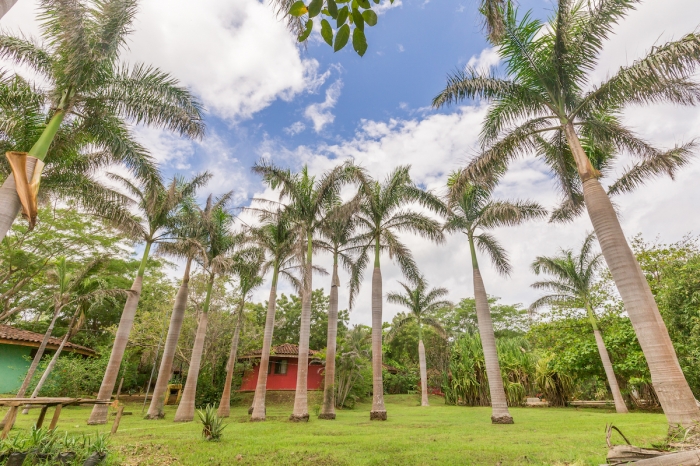 7 bed Hotel / Leisure For Sale in Avellanas, Guanacaste - thumb 21