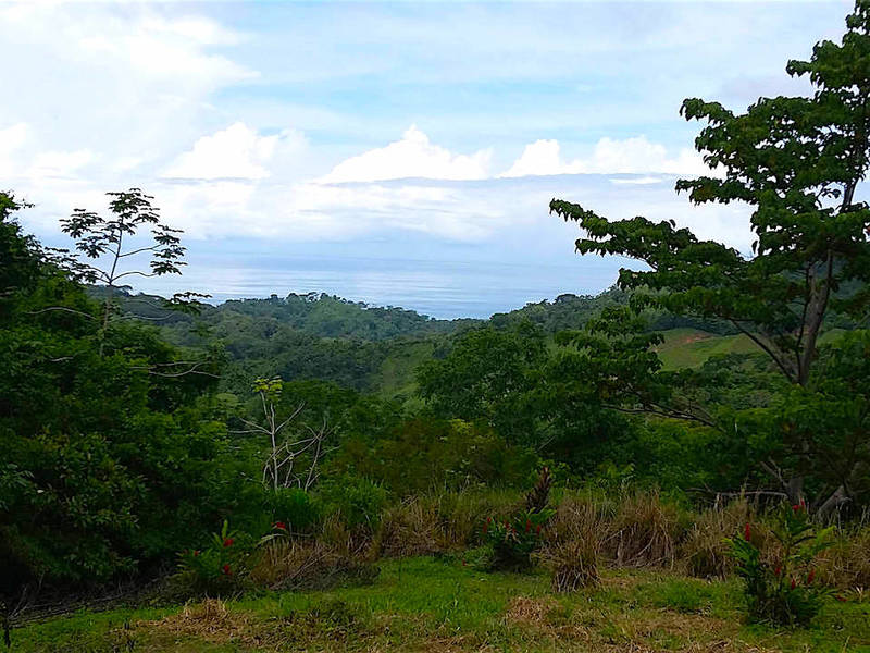 0 bed Land For Sale in Dominical, Puntarenas - 1