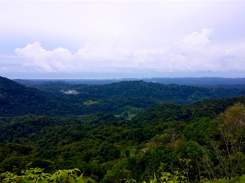 0 bed Land For Sale in Quepos, Puntarenas - 1