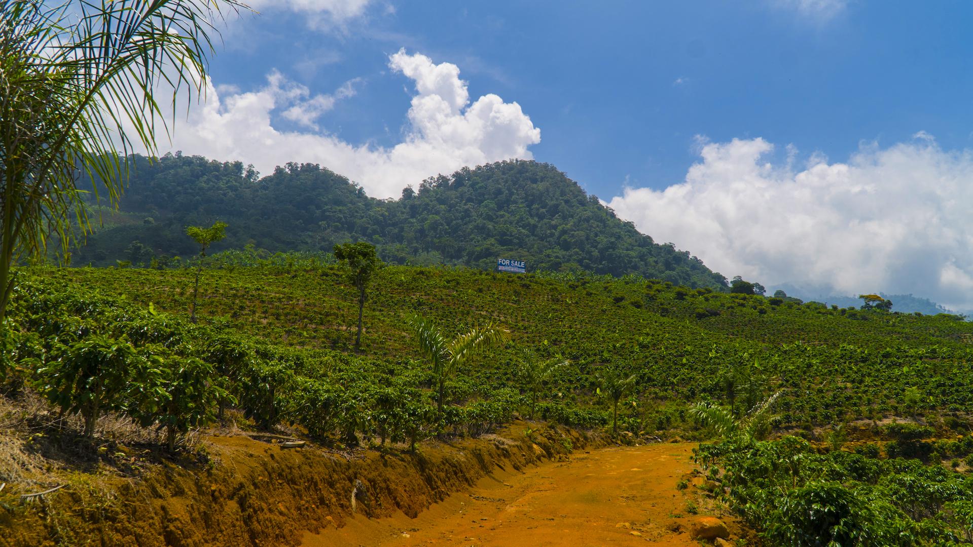 1 bed Land For Sale in Perez Zeledon, San Jose - thumb 12