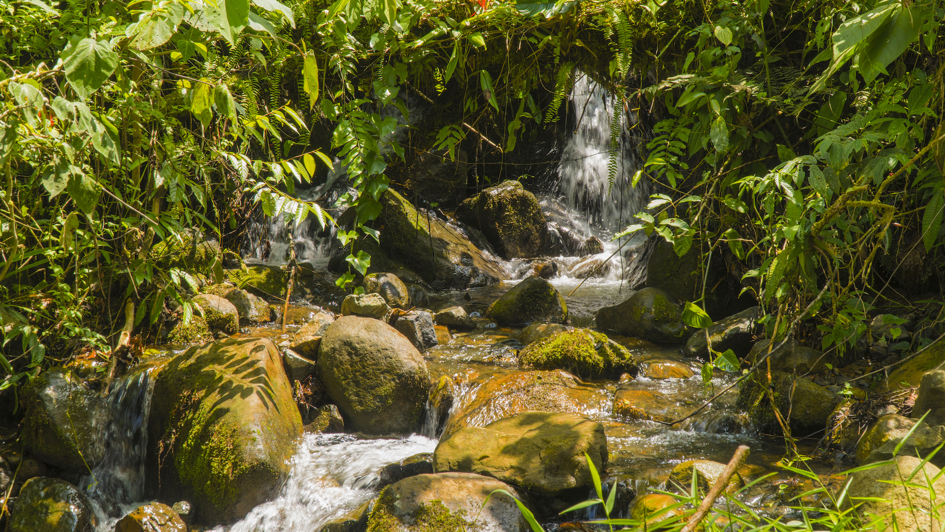 1 bed Land For Sale in Perez Zeledon, San Jose - thumb 10