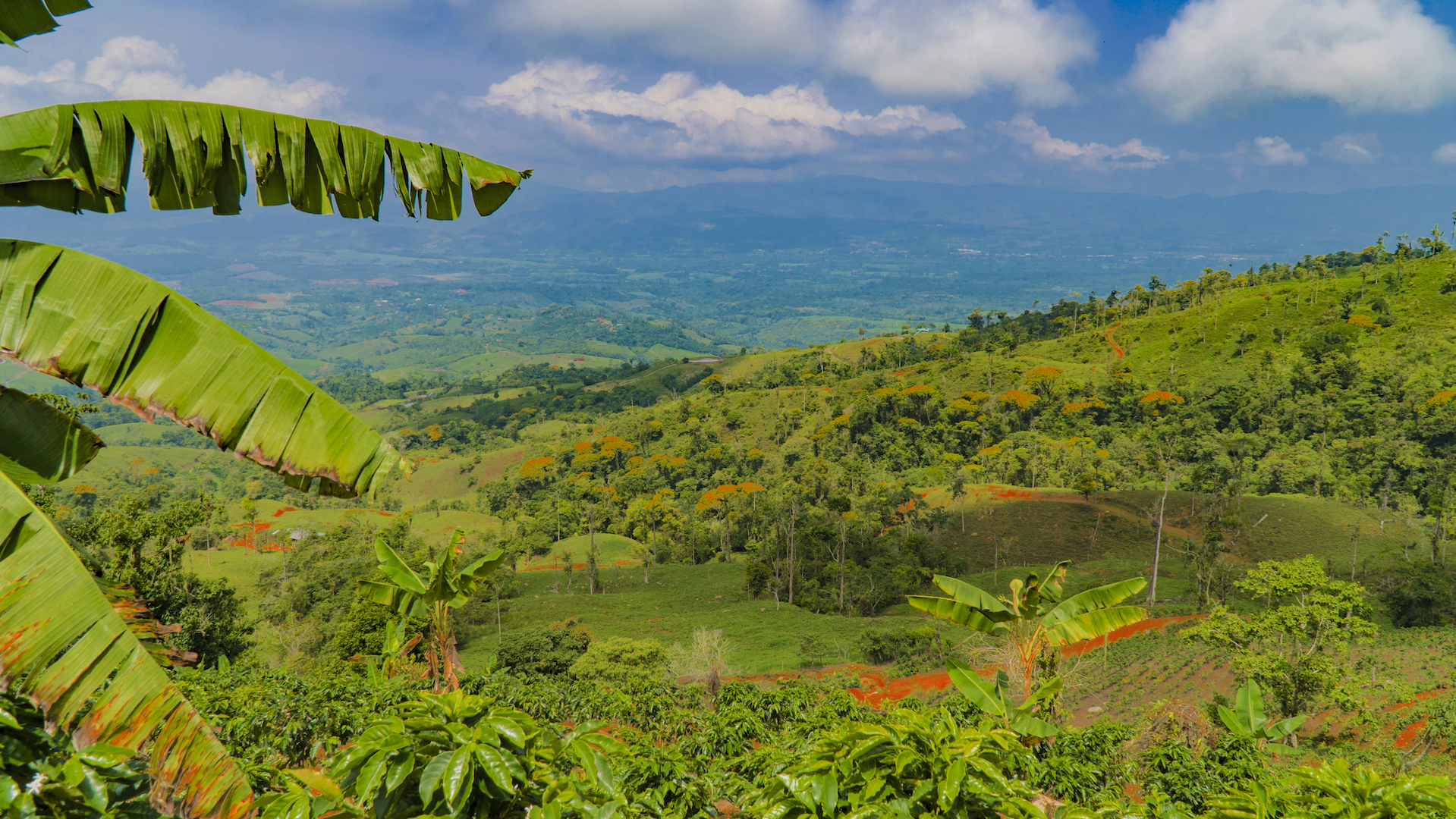 1 bed Land For Sale in Perez Zeledon, San Jose - thumb 2