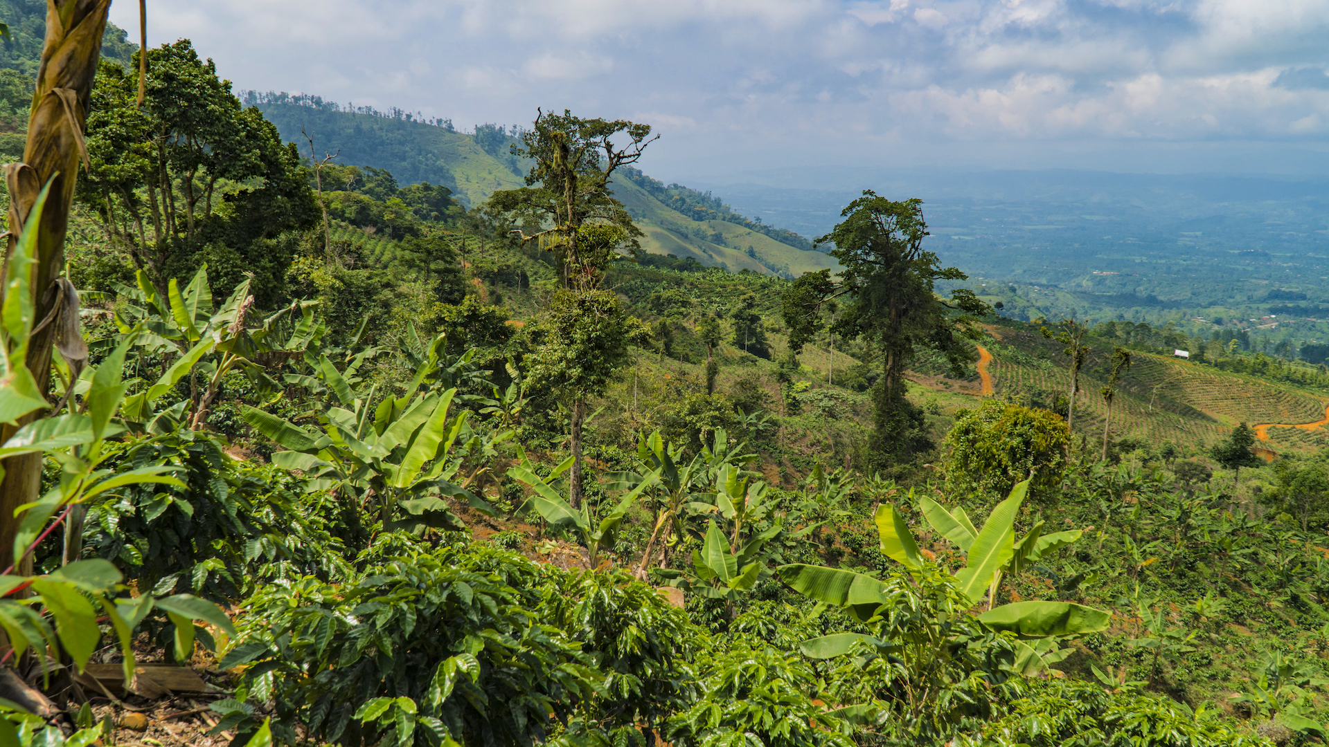 1 bed Land For Sale in Perez Zeledon, San Jose - thumb 4