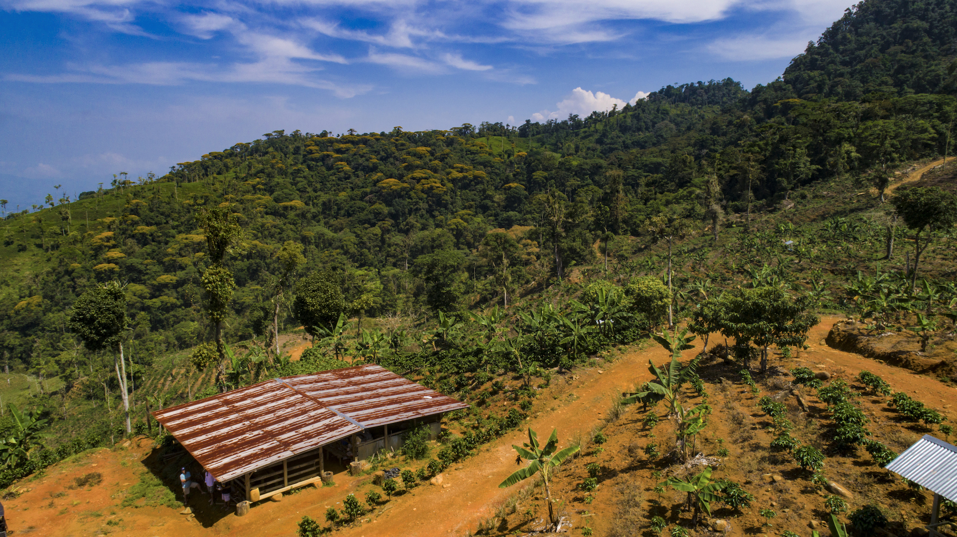 1 bed Land For Sale in Perez Zeledon, San Jose - thumb 17