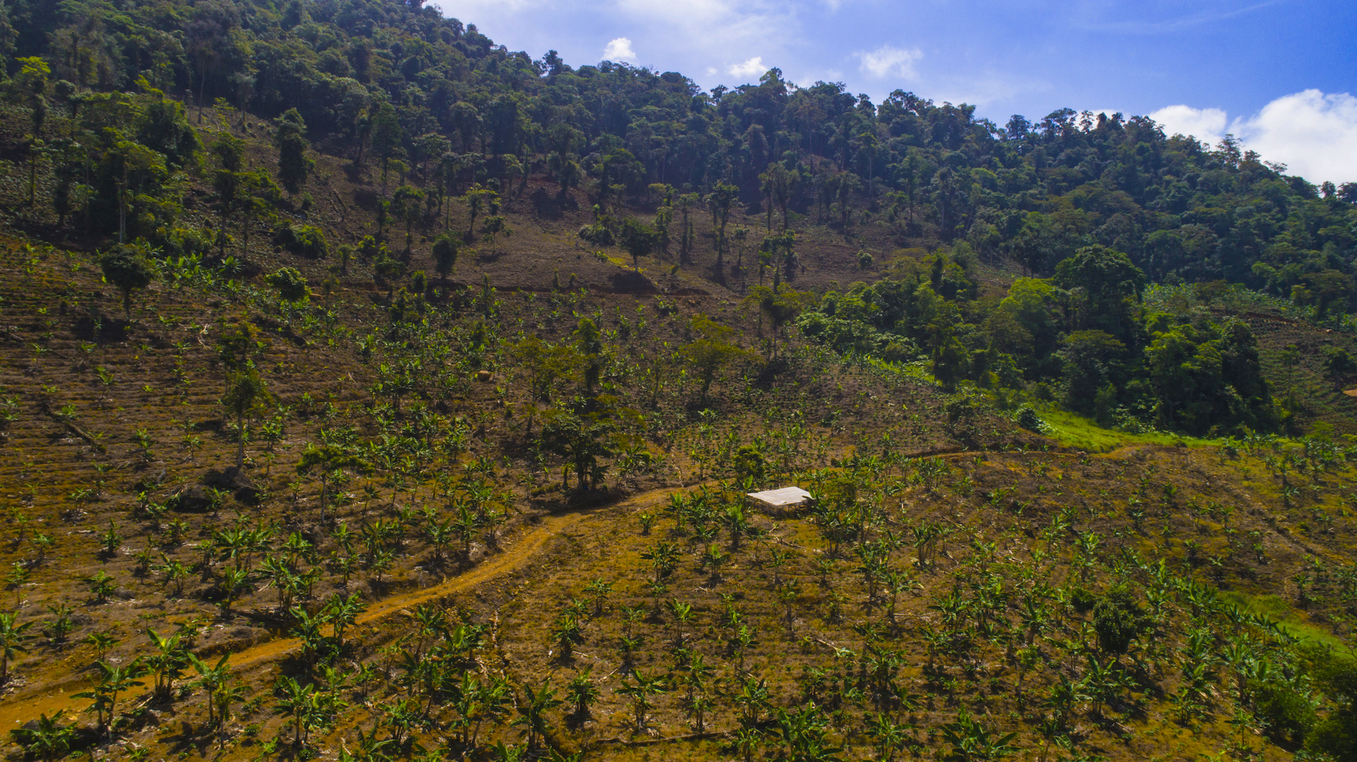 1 bed Land For Sale in Perez Zeledon, San Jose - thumb 19