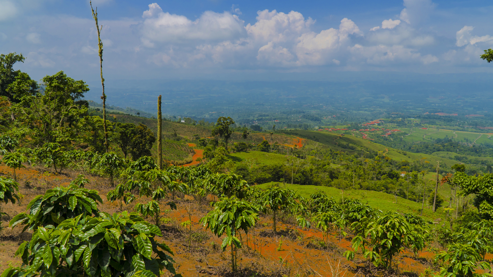 1 bed Land For Sale in Perez Zeledon, San Jose - thumb 8