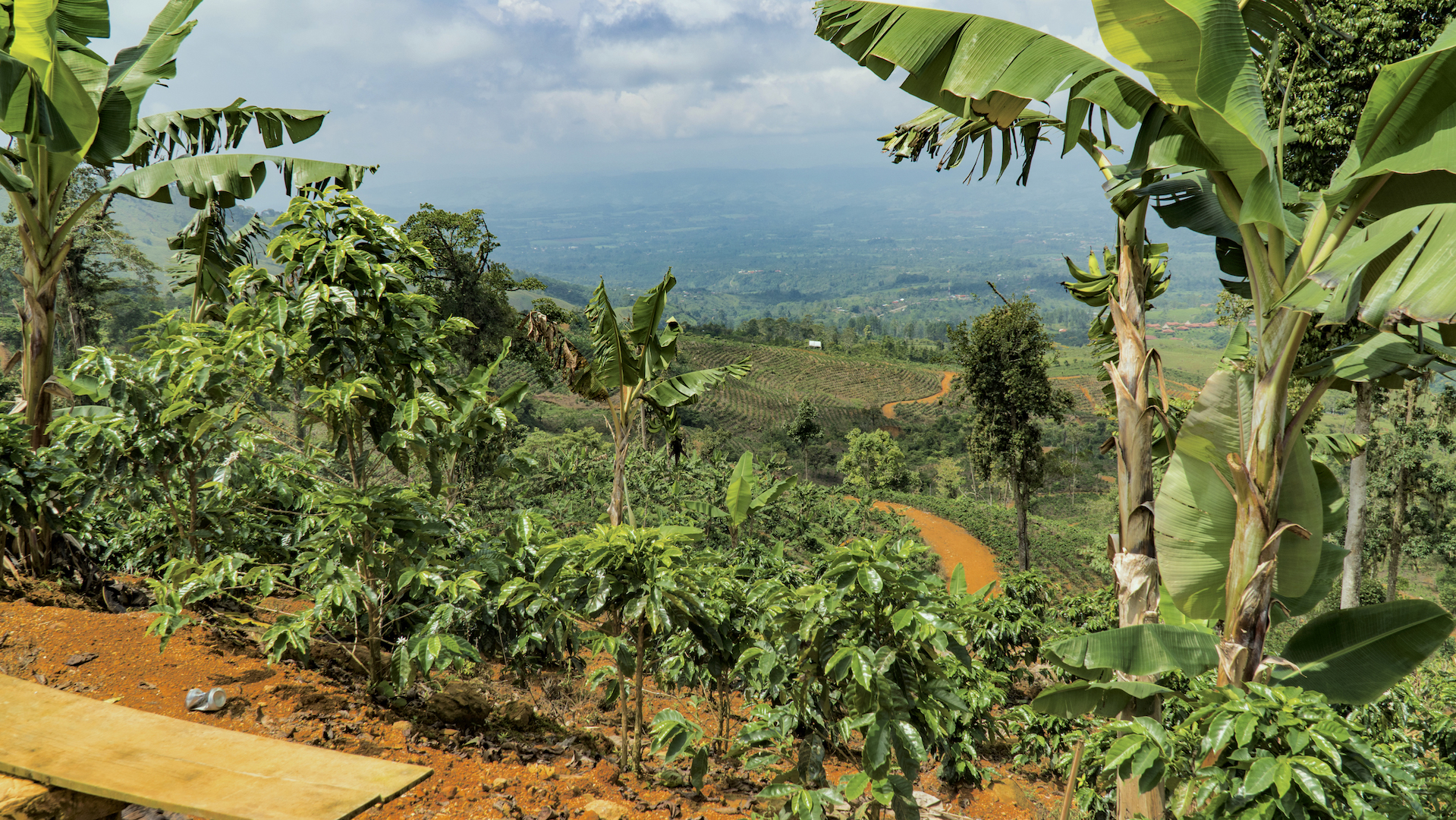 1 bed Land For Sale in Perez Zeledon, San Jose - thumb 5