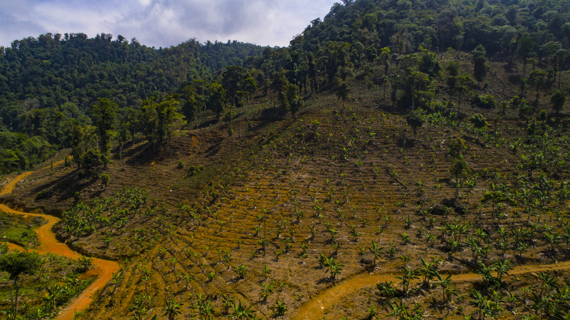 1 bed Land For Sale in Perez Zeledon, San Jose - thumb 18