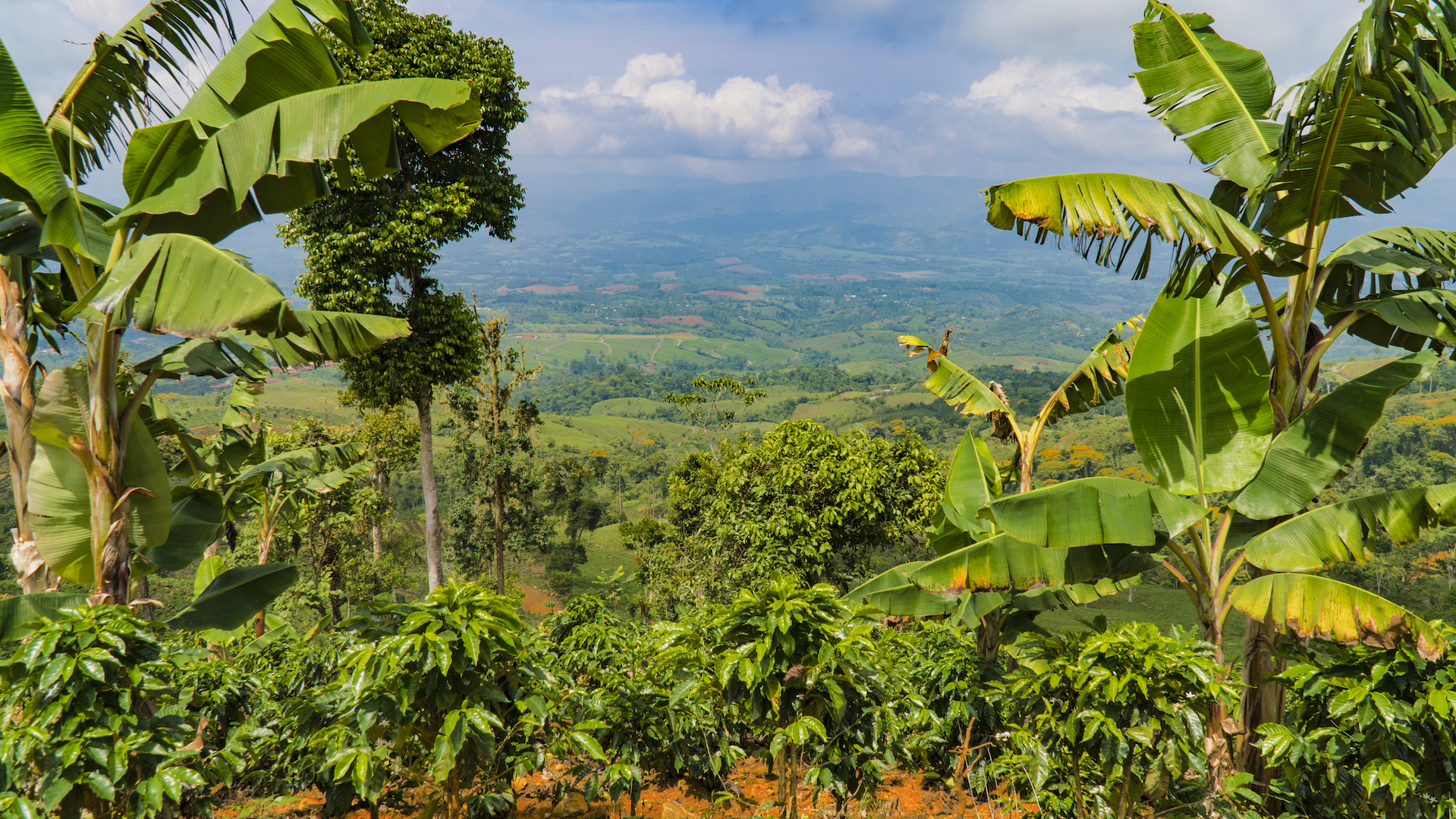 1 bed Land For Sale in Perez Zeledon, San Jose - thumb 3