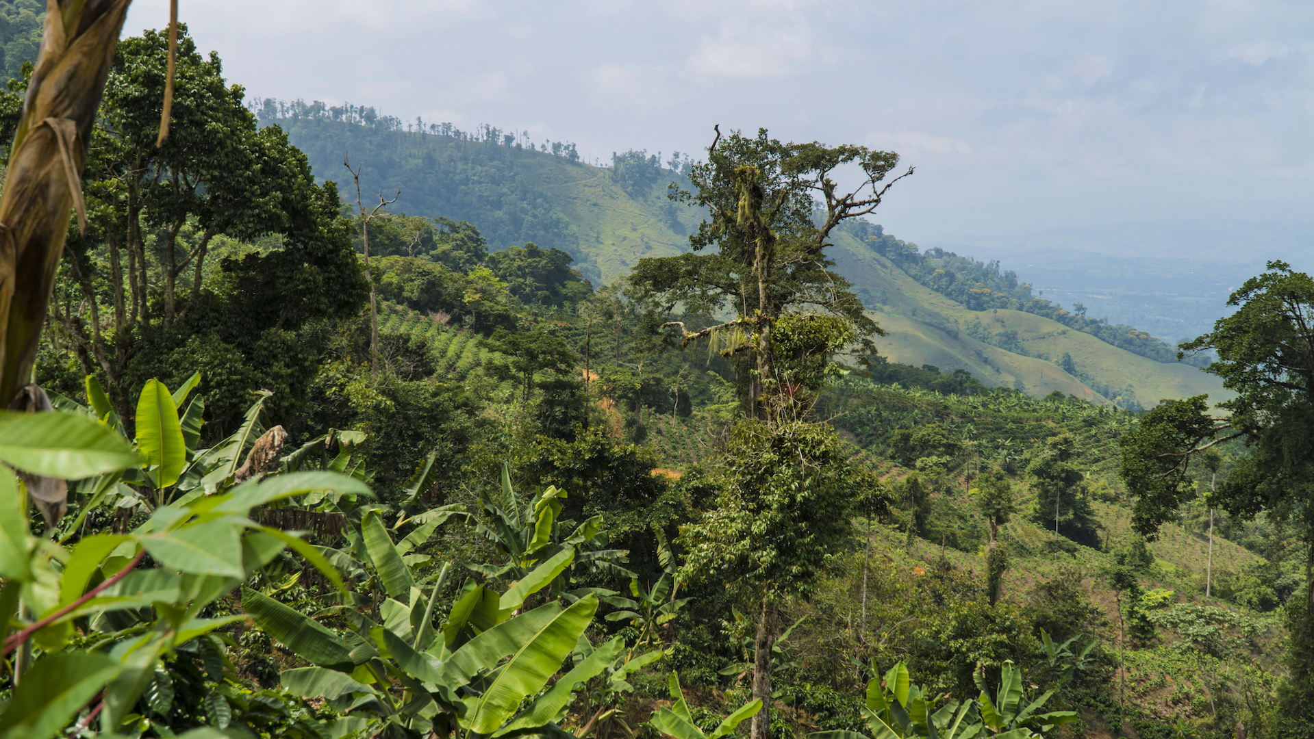 1 bed Land For Sale in Perez Zeledon, San Jose - thumb 9