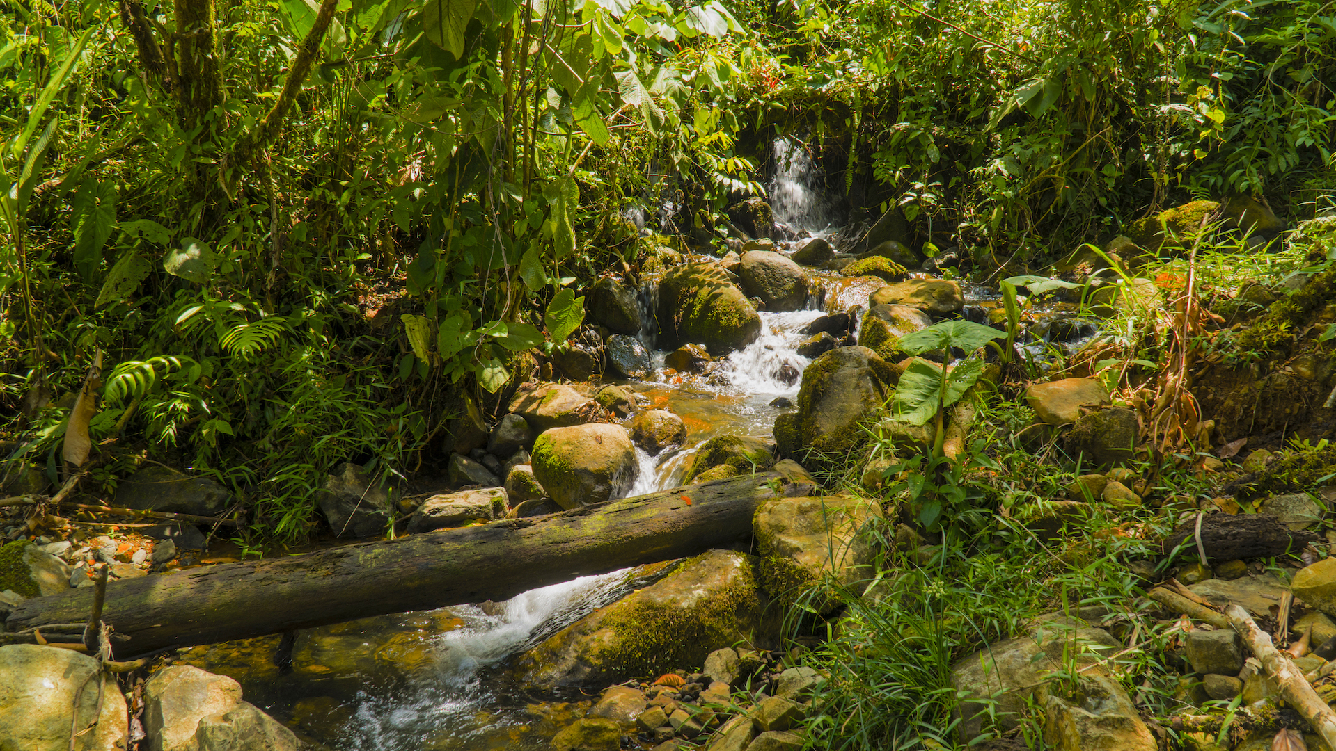 1 bed Land For Sale in Perez Zeledon, San Jose - thumb 11