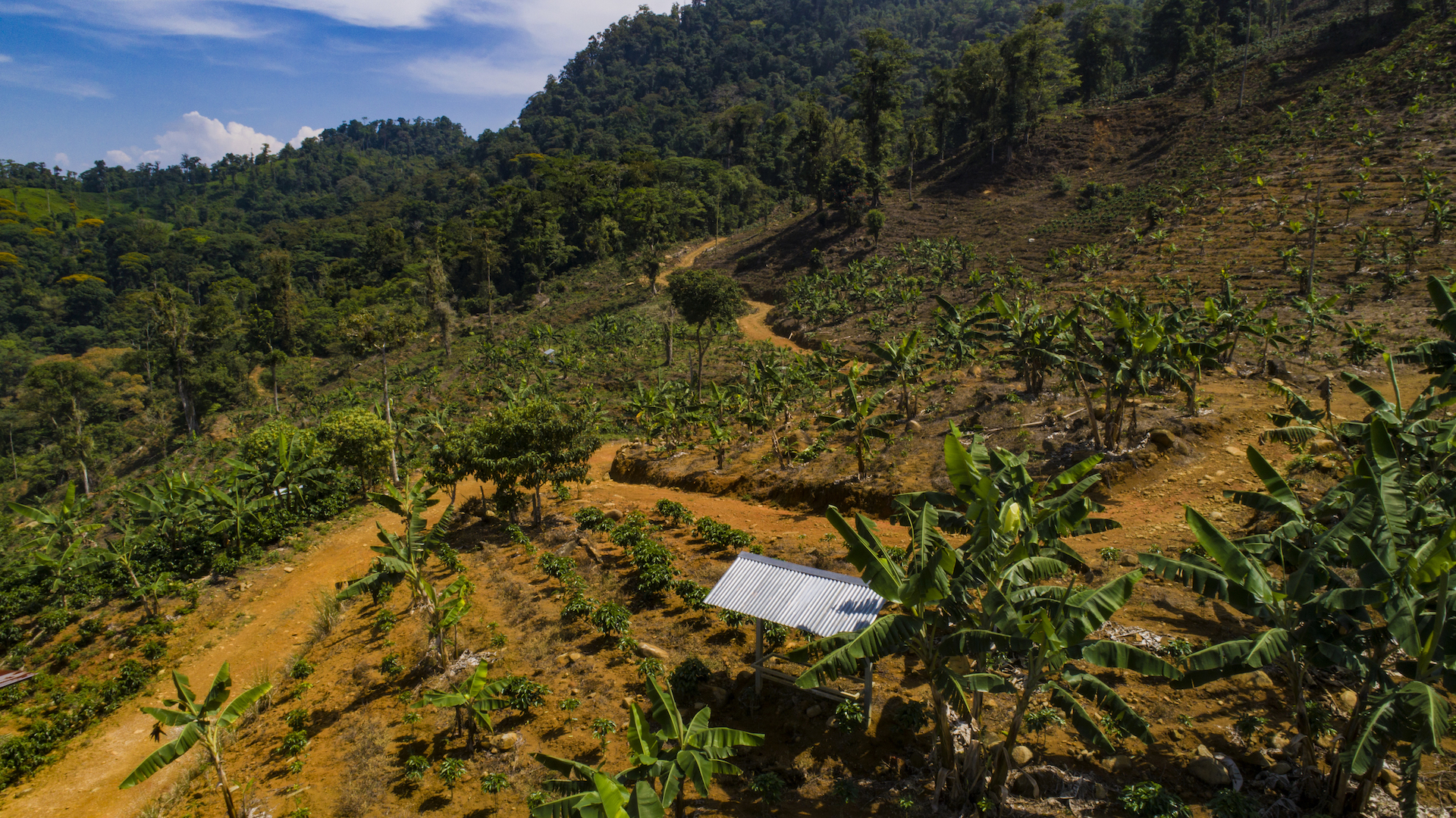 1 bed Land For Sale in Perez Zeledon, San Jose - thumb 16