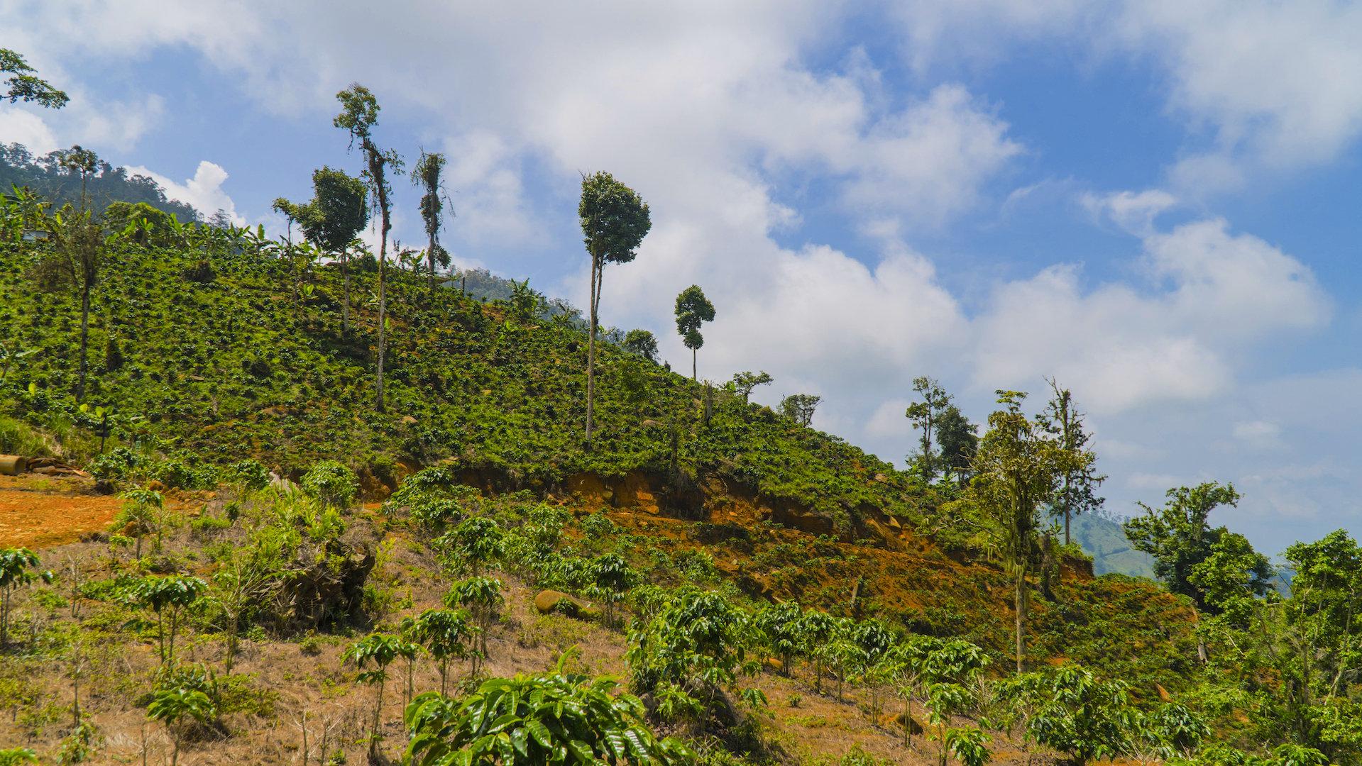 1 bed Land For Sale in Perez Zeledon, San Jose - thumb 7