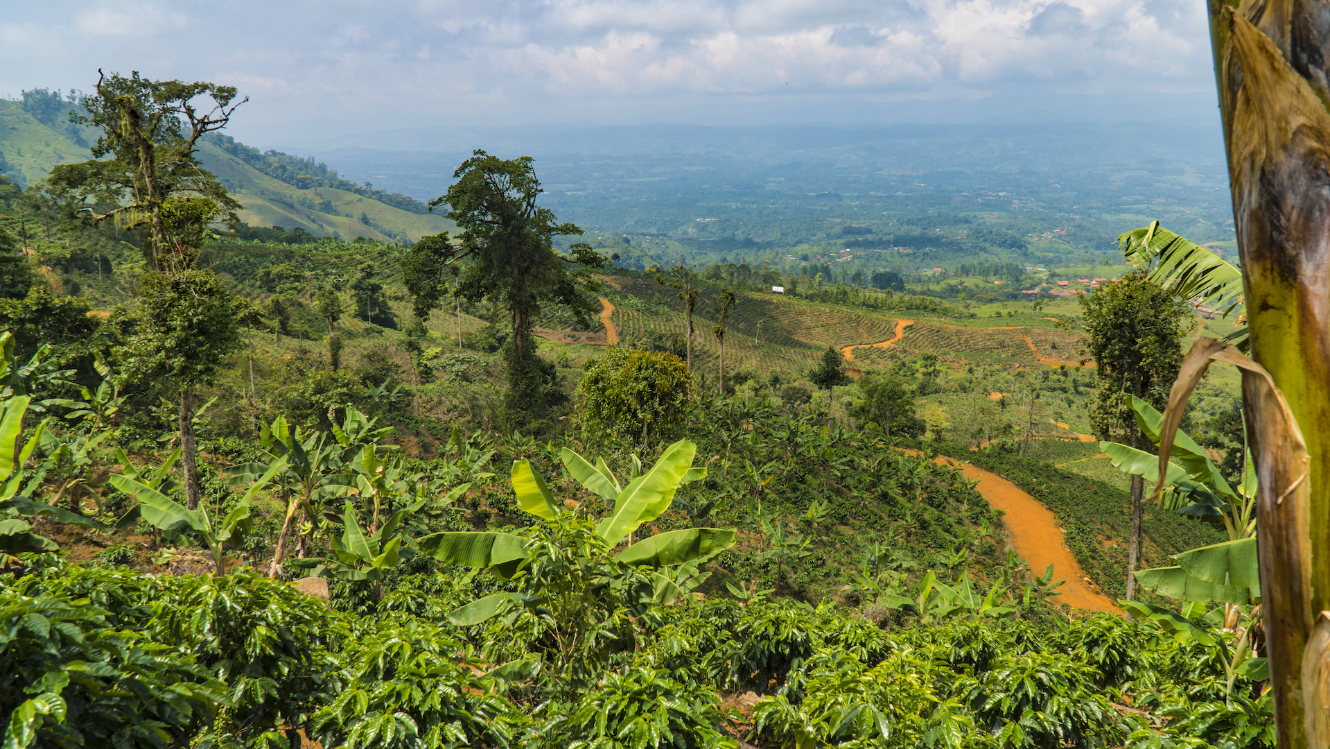 1 bed Land For Sale in Perez Zeledon, San Jose - thumb 1