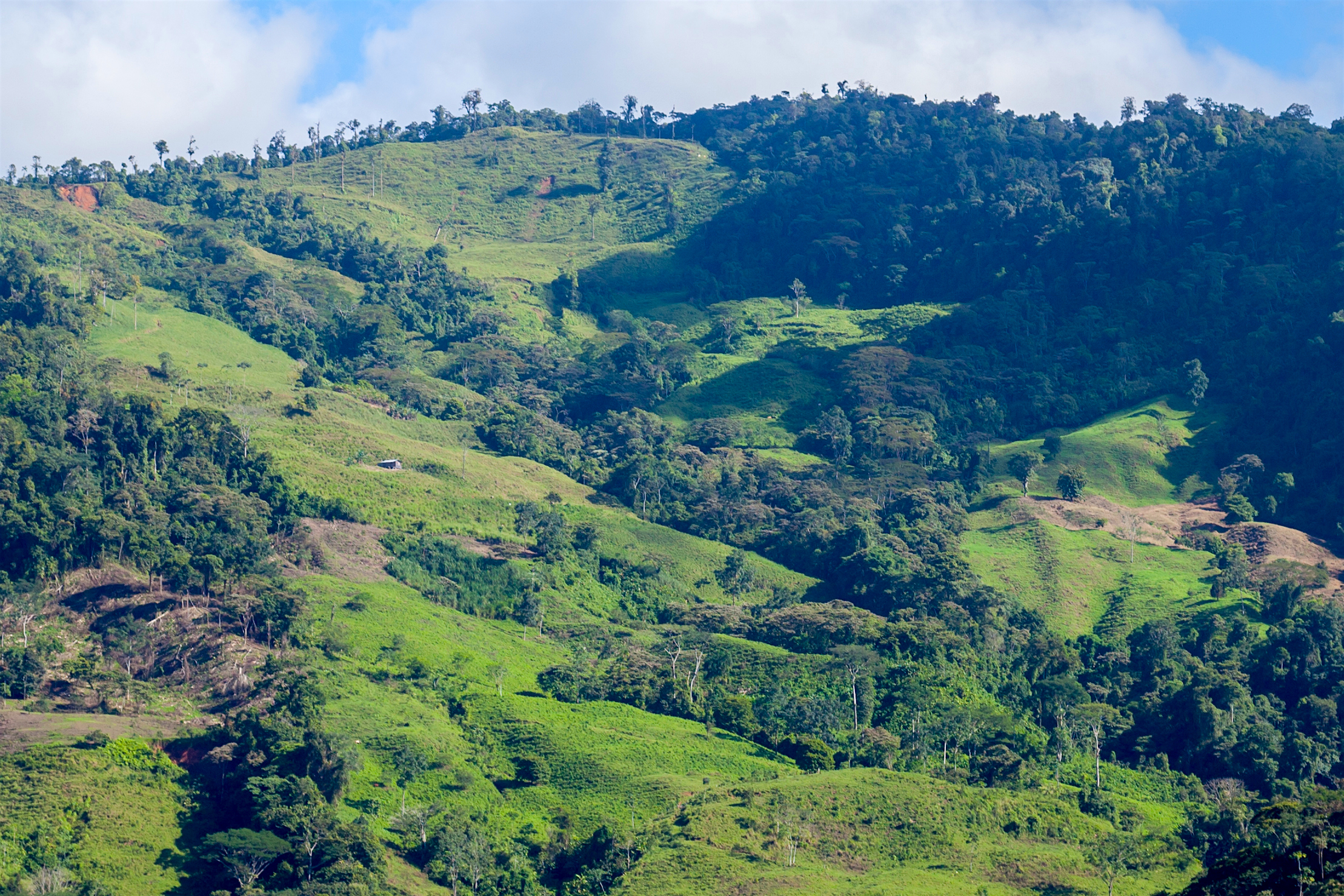 0 bed Land For Sale in Perez Zeledon, Puntarenas - thumb 2