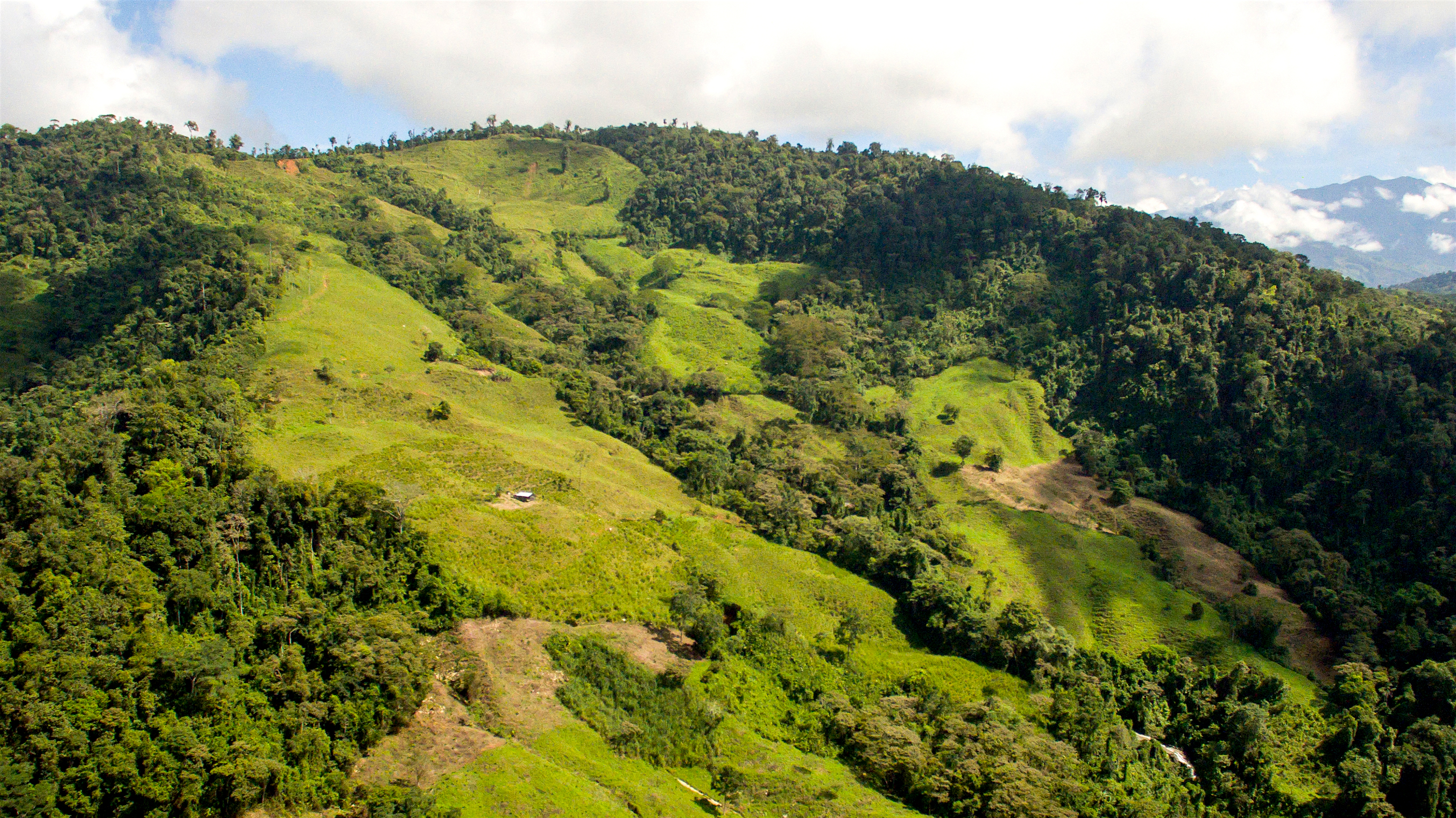 0 bed Land For Sale in Perez Zeledon, Puntarenas - thumb 10