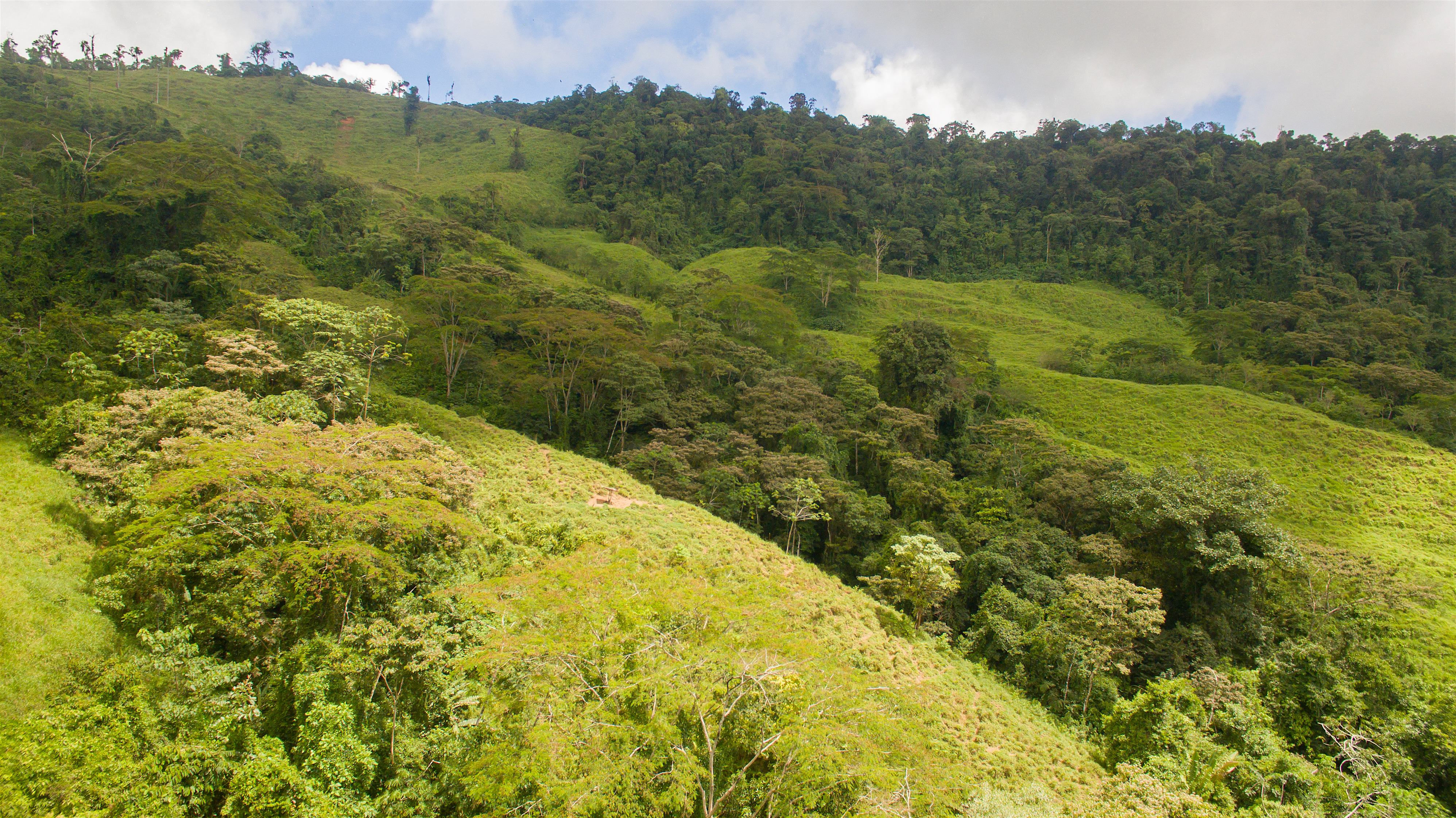 0 bed Land For Sale in Perez Zeledon, Puntarenas - thumb 5