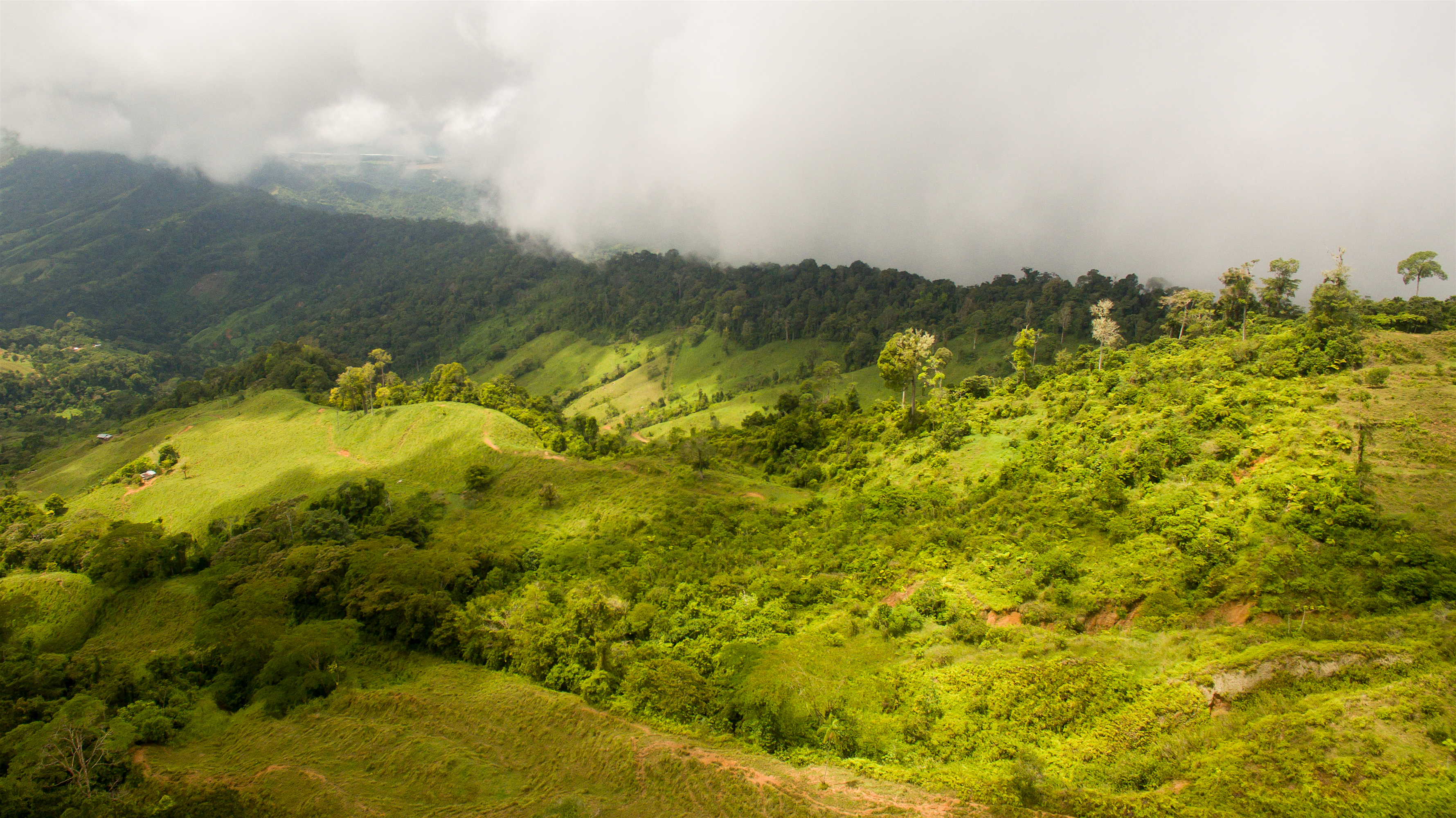 0 bed Land For Sale in Perez Zeledon, Puntarenas - thumb 8