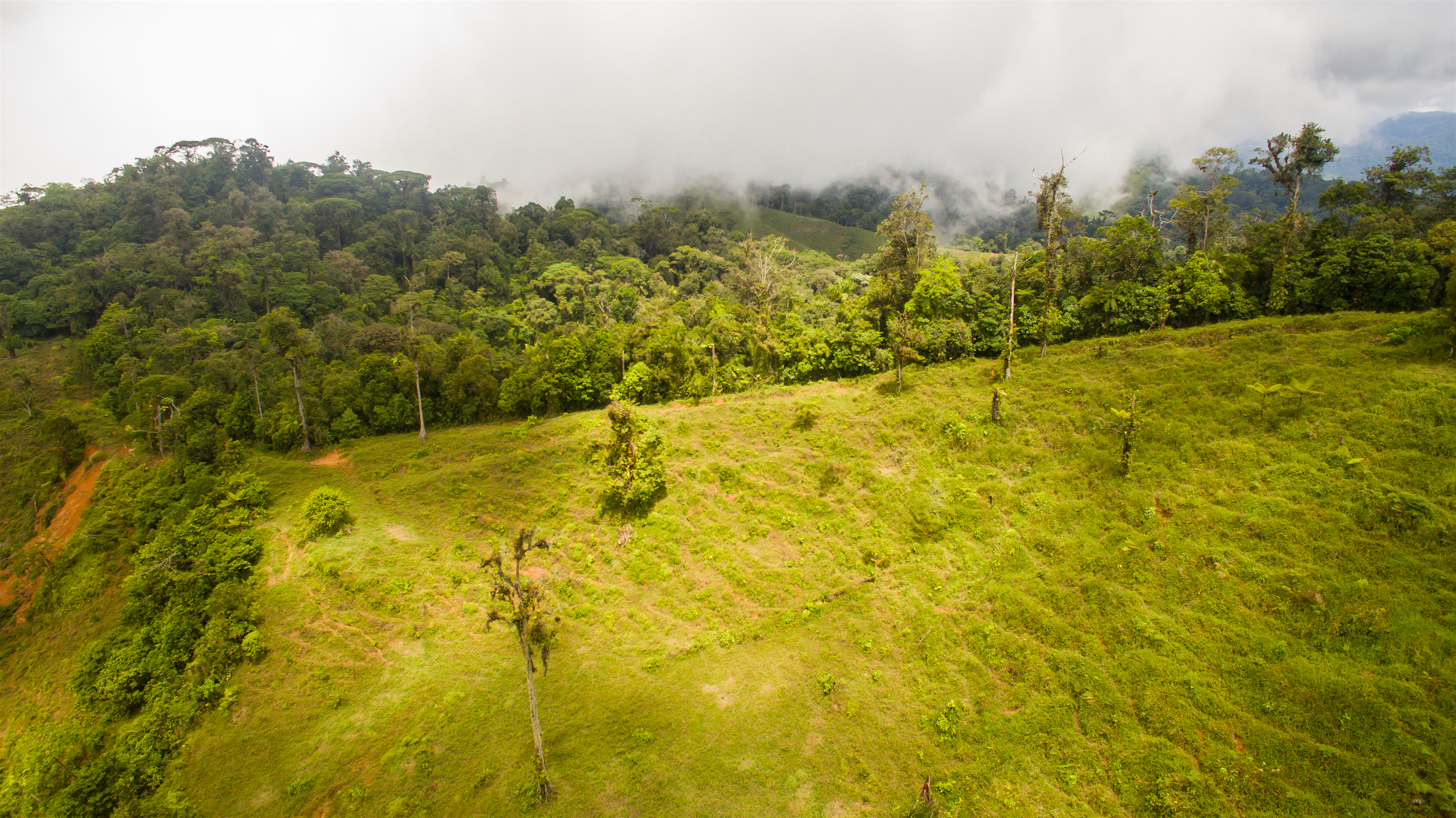 0 bed Land For Sale in Perez Zeledon, Puntarenas - thumb 18