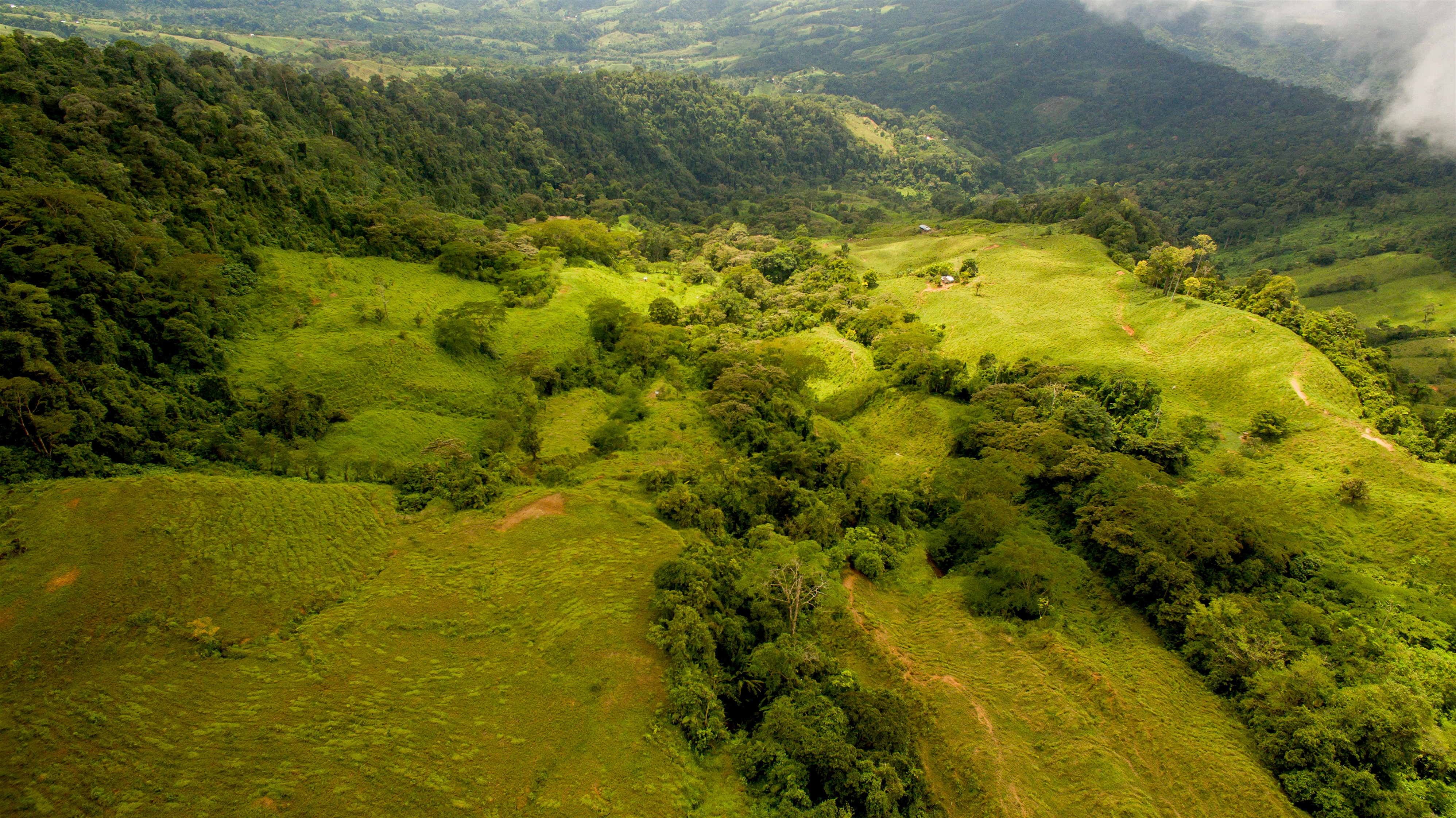 0 bed Land For Sale in Perez Zeledon, Puntarenas - thumb 11