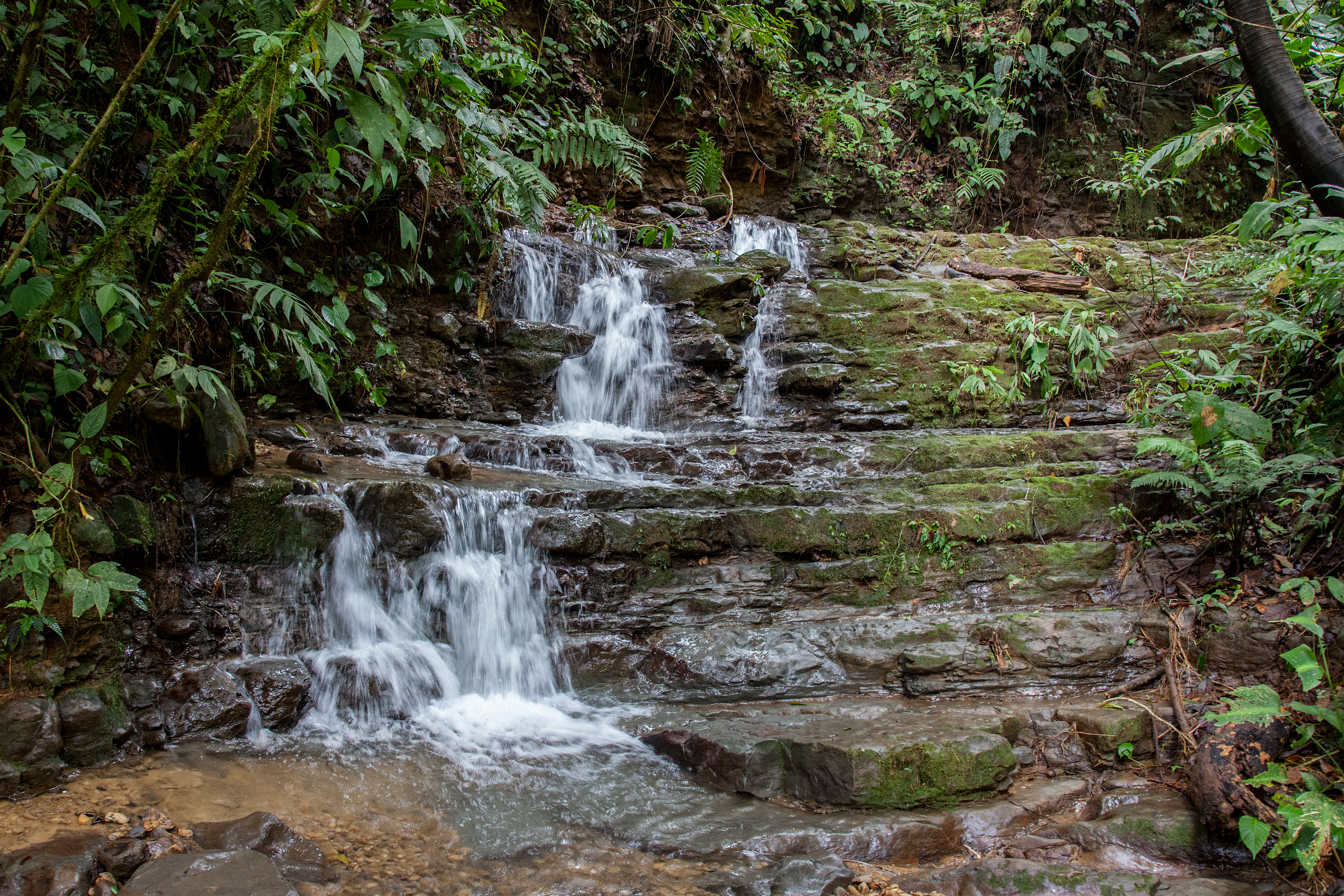 0 bed Land For Sale in Perez Zeledon, Puntarenas - thumb 22