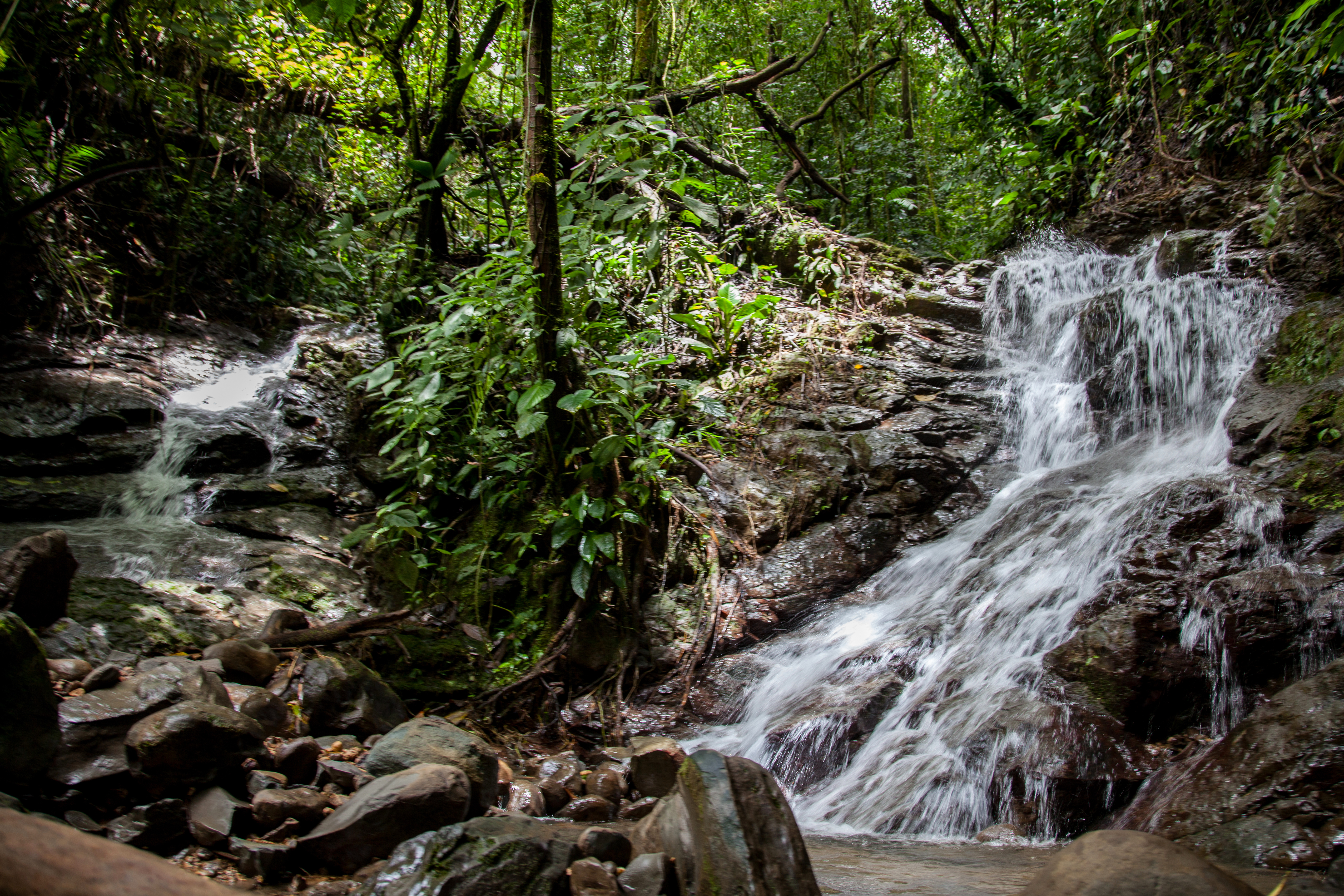 0 bed Land For Sale in Perez Zeledon, Puntarenas - thumb 21