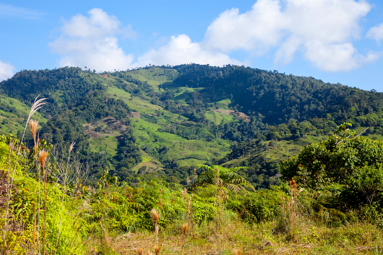 0 bed Land For Sale in Perez Zeledon, Puntarenas - thumb 1