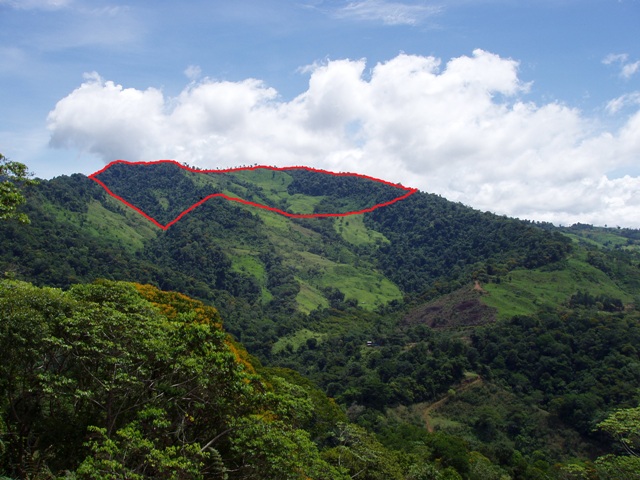 0 bed Land For Sale in Perez Zeledon, Puntarenas - thumb 23