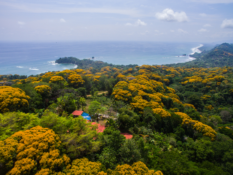 7 bed Hotel / Leisure For Sale in Dominical, Puntarenas - 1