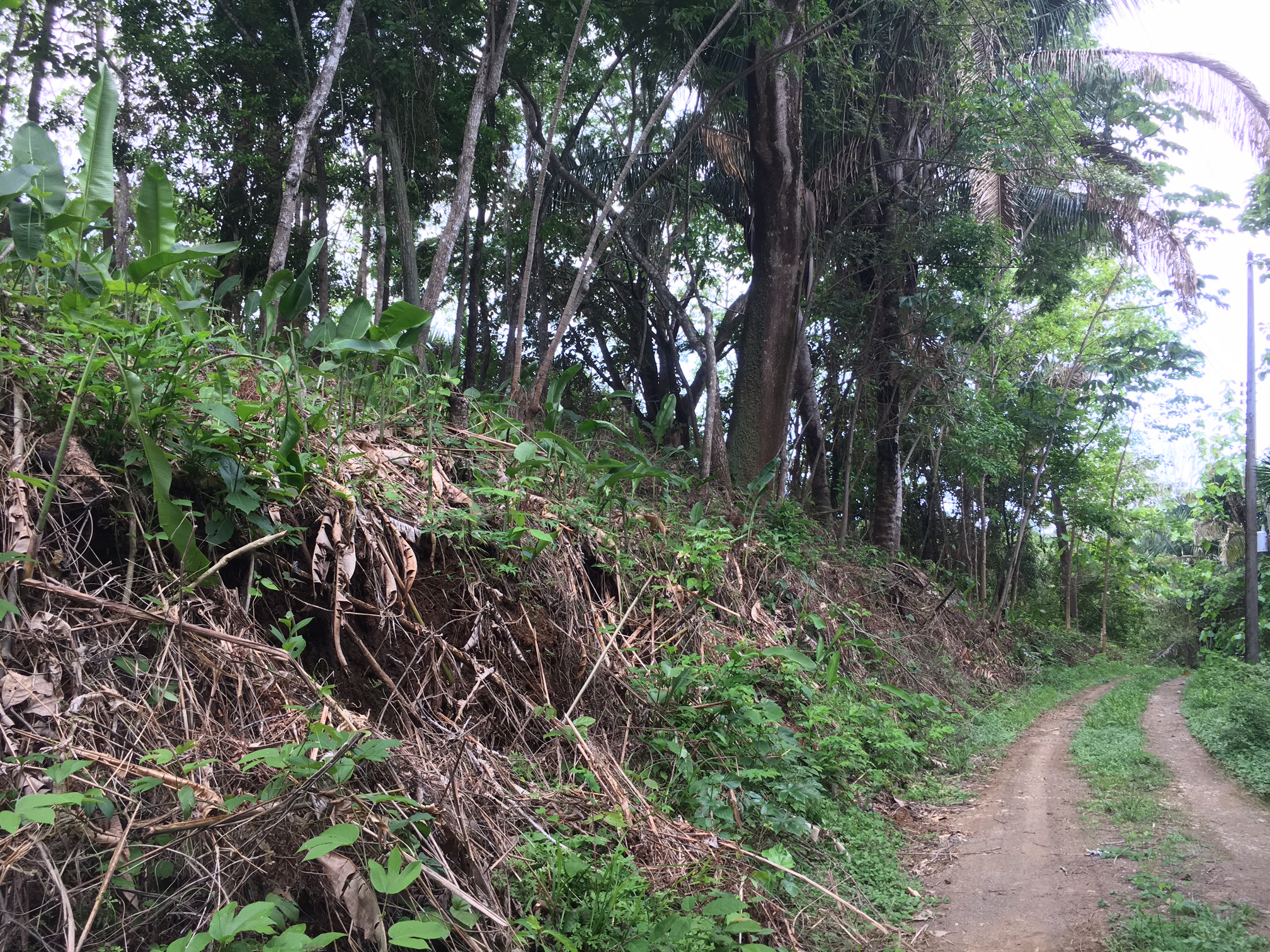 0 bed Land For Sale in Samara, Guanacaste - thumb 4