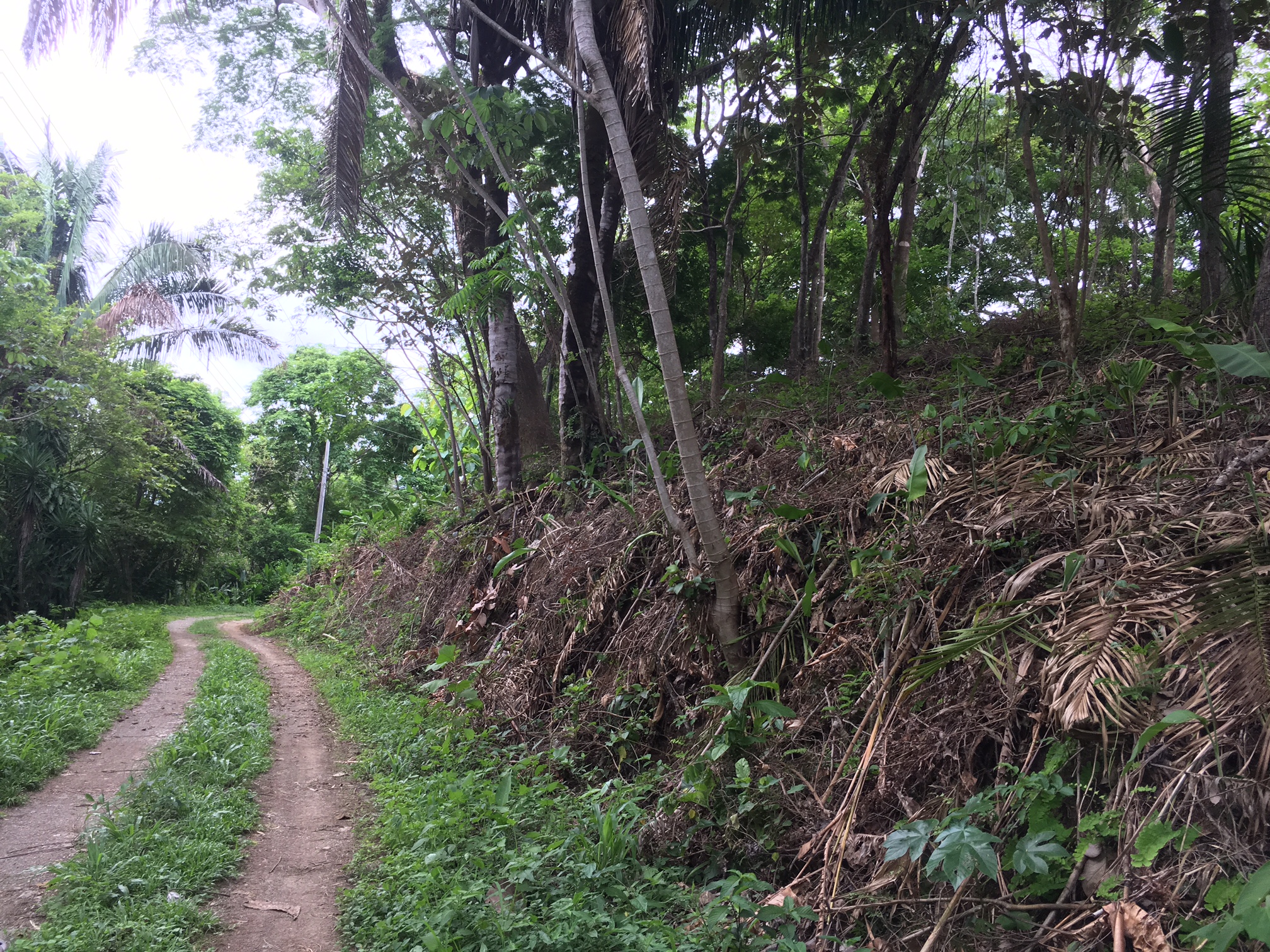 0 bed Land For Sale in Samara, Guanacaste - thumb 5