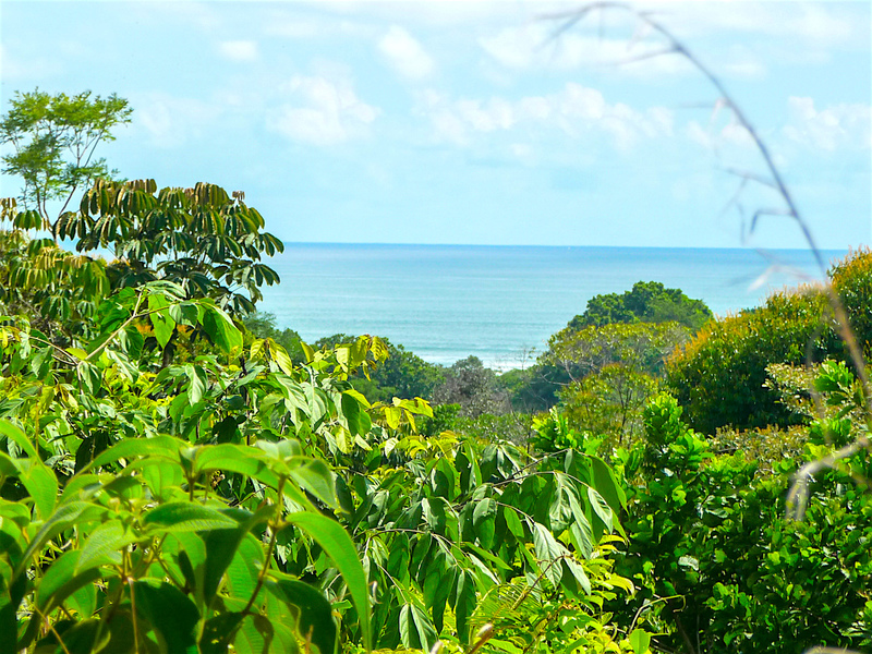 0 bed Land For Sale in Ojochal, Puntarenas - 1